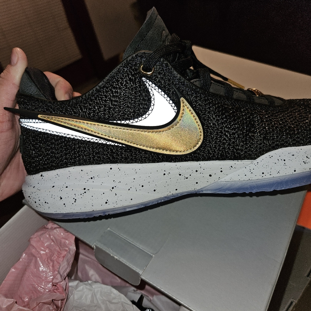 Nike lebron shoes